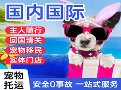 温州机场物流国际宠物托运 【国